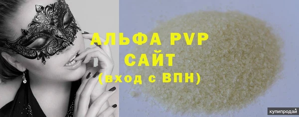 PSILOCYBIN Бородино