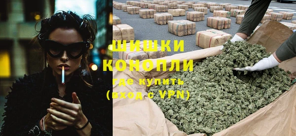 стаф Бронницы
