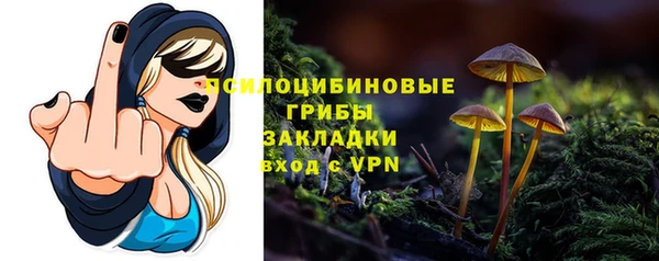 дживик Бугульма