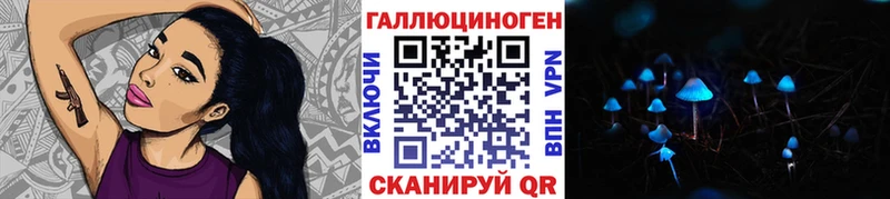 маркетплейс официальный сайт  Кондрово  Галлюциногенные грибы GOLDEN TEACHER 